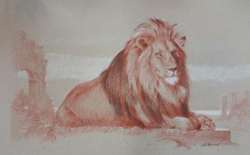 Lion for present. Zhdanov Alexander