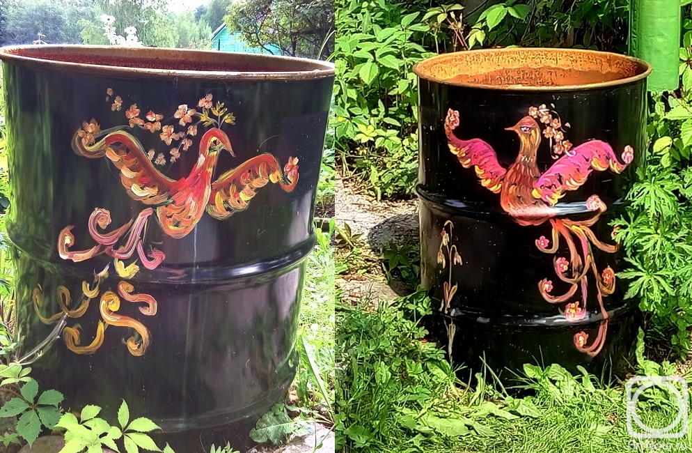 ������� ������. �������� � ���� ����