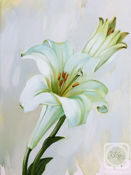 ������� ������ �� ������. ��������� ����. ����� ����������