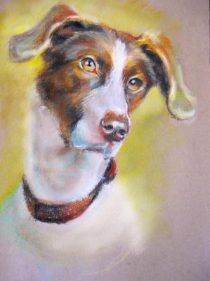 ���������. ��� �����