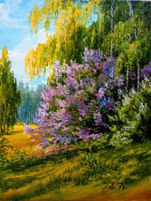 ������� ������� ������