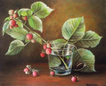 Snail lurking on a raspberry leaf. Bobrisheva Julia