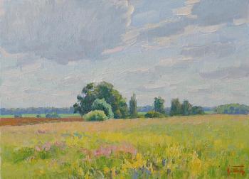 July fields. Panov Igor