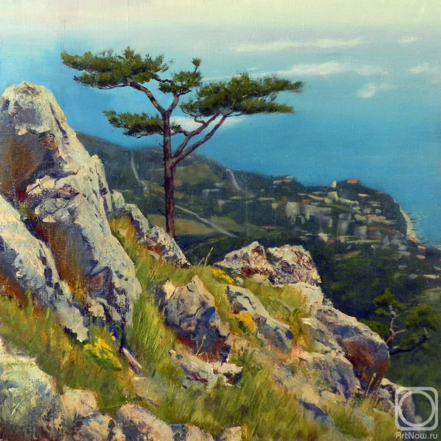 Vidaikin Vladimir. Mountain pine