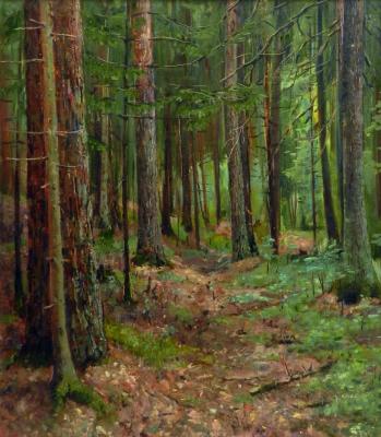 Mikhailovsky Forest. Vidaikin Vladimir