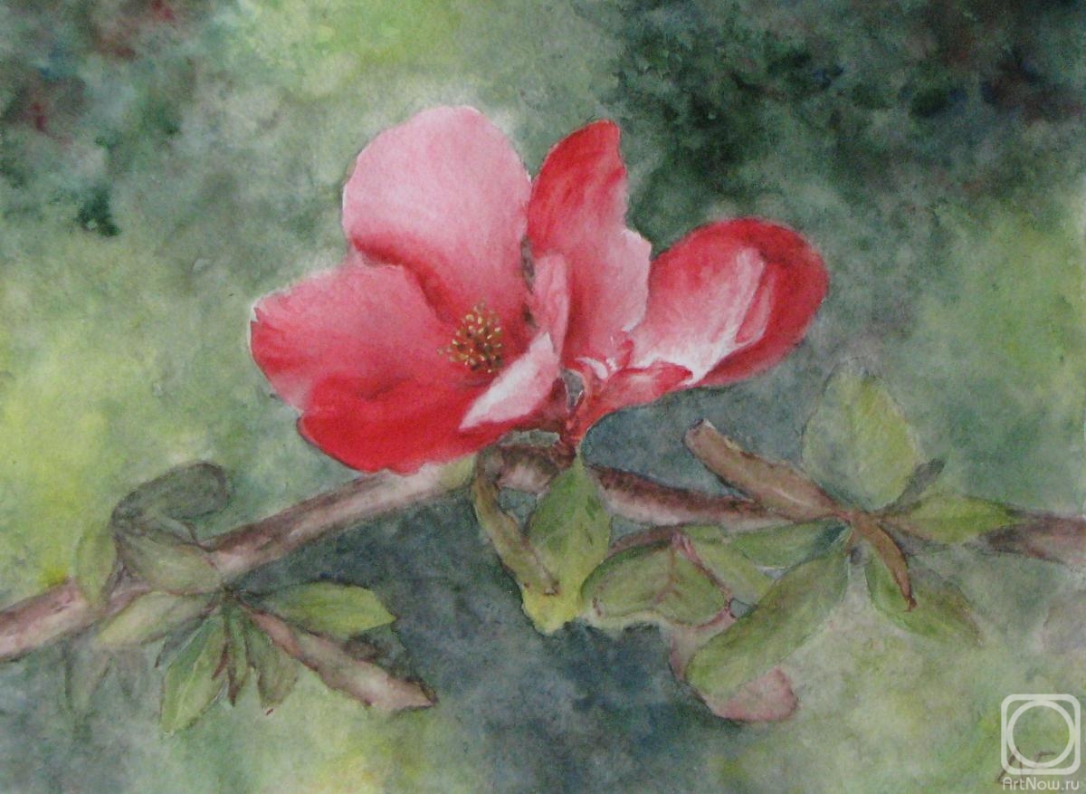 Fomina Lyudmila. Blossoming Pomegranate