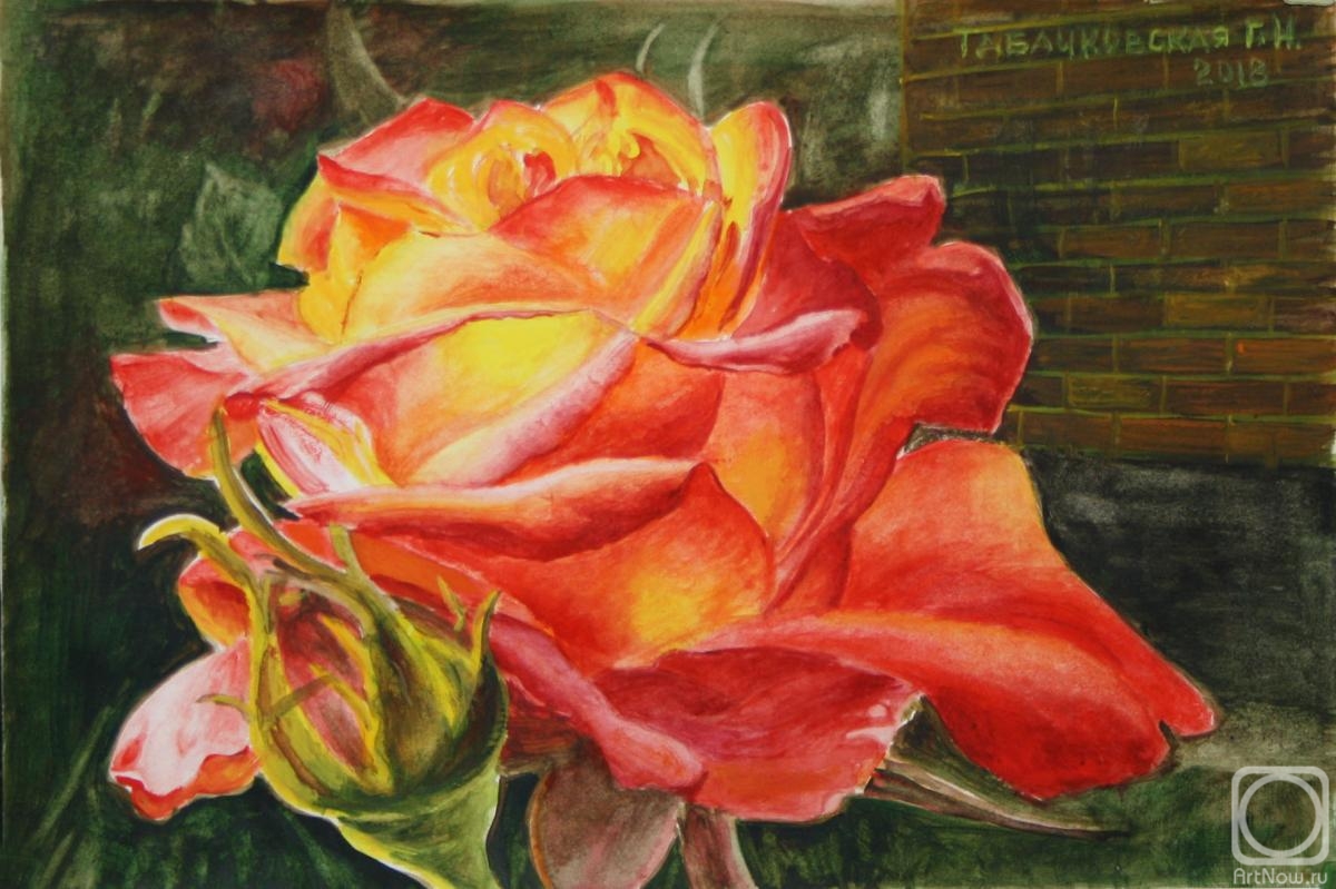 Kudryashov� Galina. In the rays of the setting sun