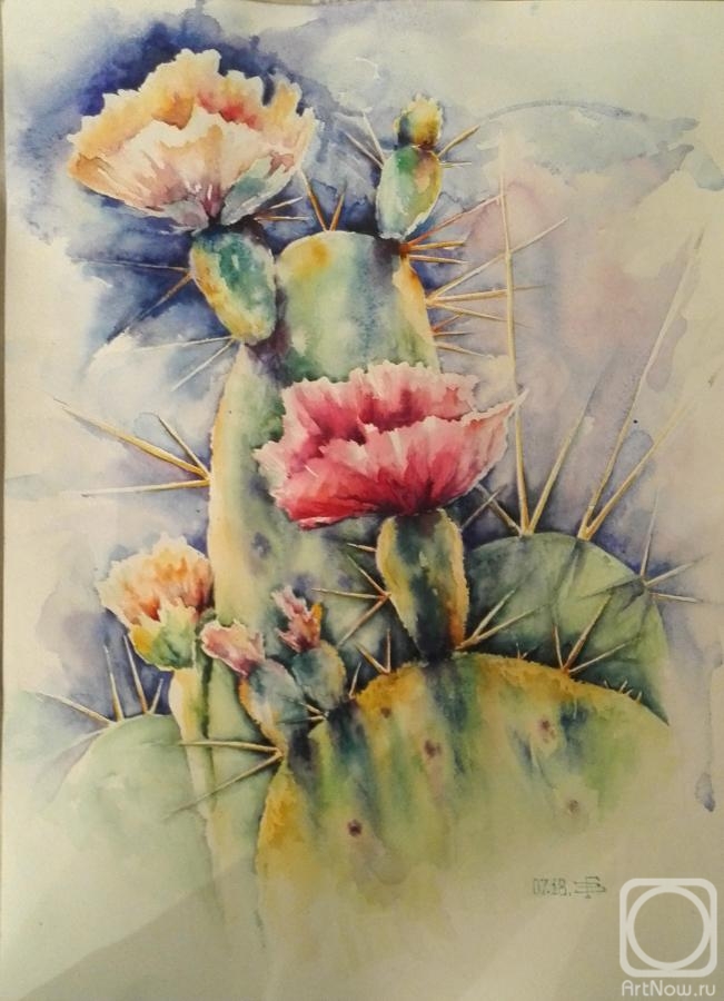 Glotow Evgeniy. Cactus
