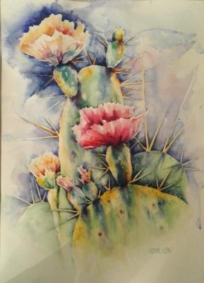 Cactus. Glotow Evgeniy