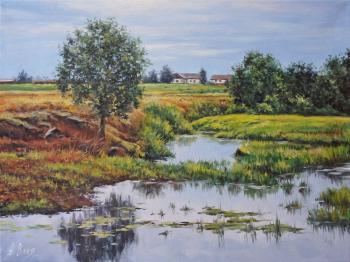 Village pond, sketch. Volya Alexander