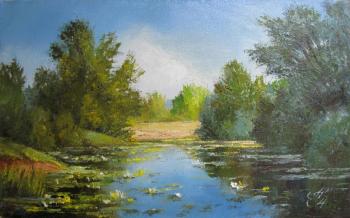 �����. ����� ���������