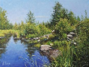 Summer shore, sketch