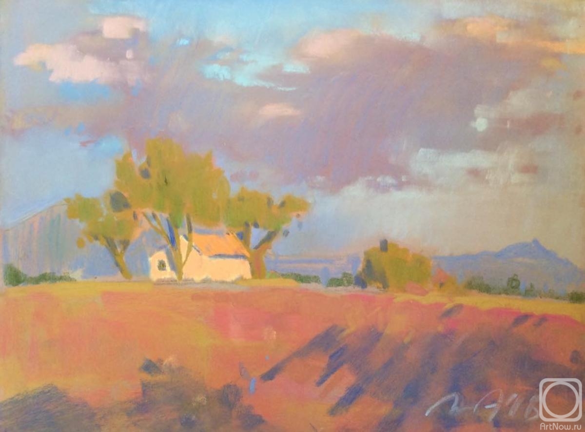 Lapygina Anna. Sunset in lavender fields