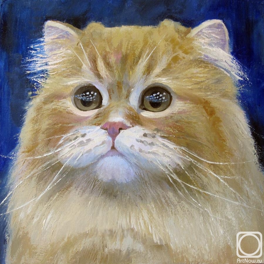 ������� ������ �� ������. ������ �����. ���� (Chase Of Dreams Luka) �� ����� "�� ��������"