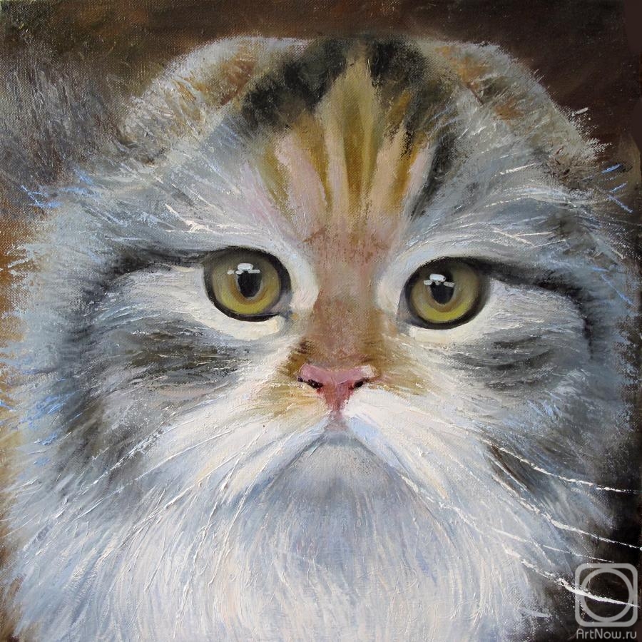 ������� ������ �� ������. ������ �����. ��� (Chase Of Dreams Eva) �� ����� "�� ��������"