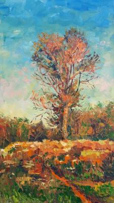 ������ ������ �����. ���������� �����