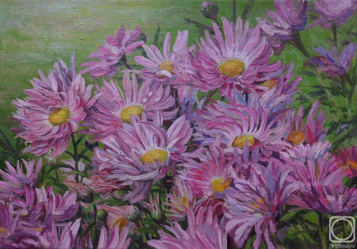 ������� ������ �� ������. �������� ������. ����������