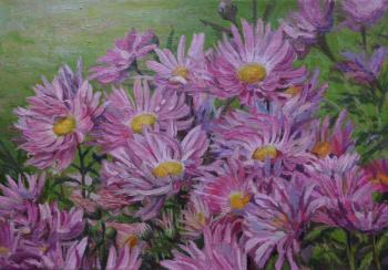 ������� ������������