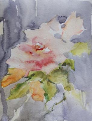 ������� ���� ���������