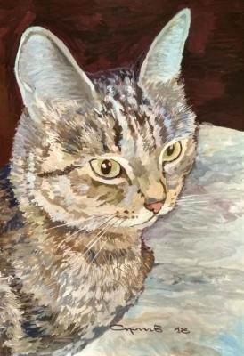 ������ ����. ������� ������