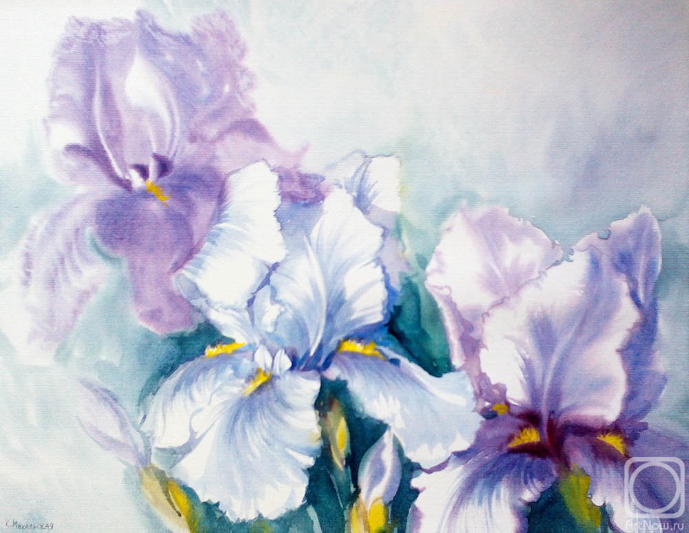 �������. ���������� ���������. ����� ����� �����