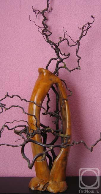 ����� ���������. ��������