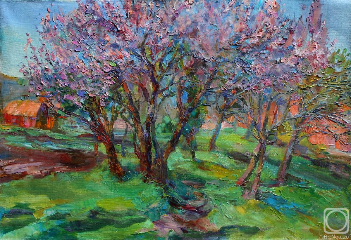 Mirgorod Irina. Apricot garden