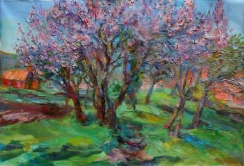 Apricot garden (The Apricot Flowering). Mirgorod Irina