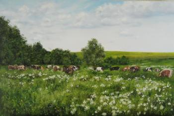 Cows in a Meadow. Shaykina Natalia