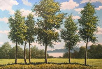 �����. ���������� ������