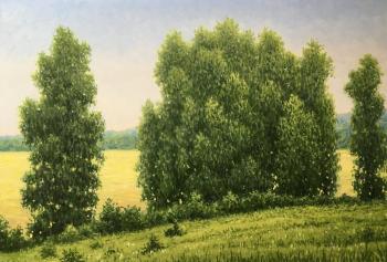 A quiet day. Bikbulatov Alfit