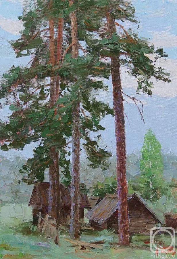 Panov Igor. Under the old pines