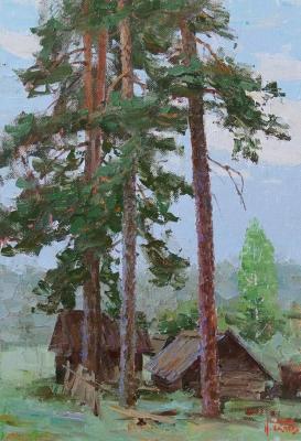 Under the old pines. Panov Igor