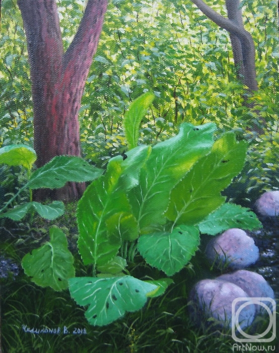 ������� ������ �� ������. ��������� �������. ���� ��� �������