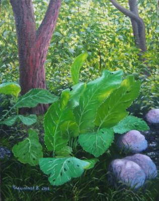 ���� ��� �������. ��������� �������