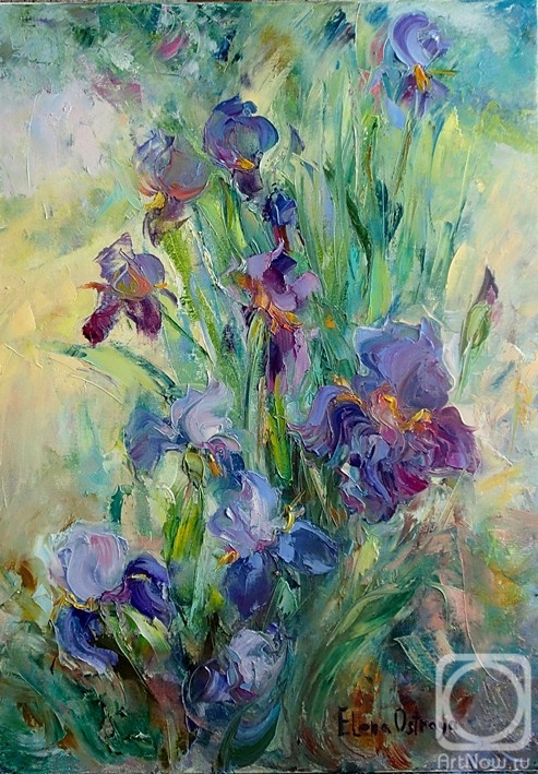 Ostraya Elena. From the life of irises. Day