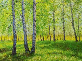 Birch Grove. Volya Alexander