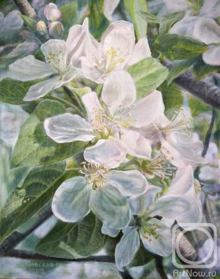Kudryashov Galina. Flower of apple-tree