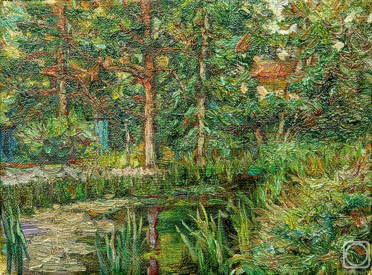 ������� ������ �� ������. ������ �������. ������������ �����������