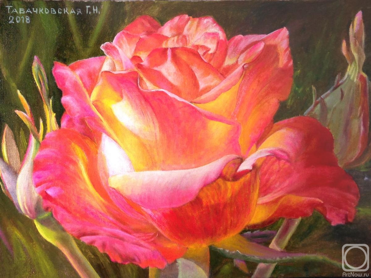 Kudryashov Galina. Rose flower. In the rays of the setting sun