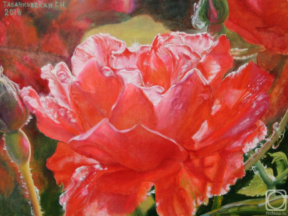 ������� ������ �� ������. ���������-������������ ������. ����. ����� �����