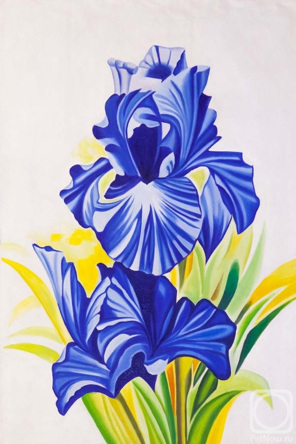 Gomes Liya. Beautiful iris