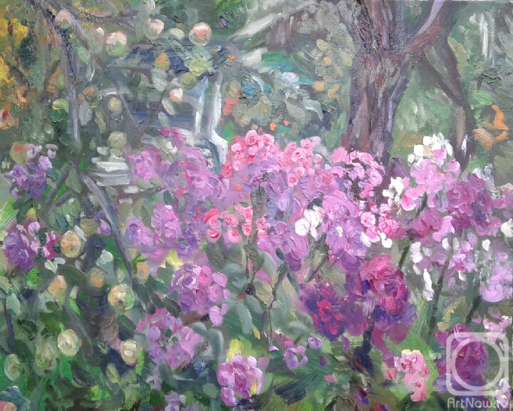 Shenec Anna. Blooming Phlox. A cozy corner in the garden