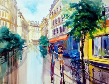 Paris umbrellas and bicycles. Mikhalskaya Katya
