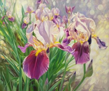Irises (Buy A Picture With Irises). Zhaldak Edward