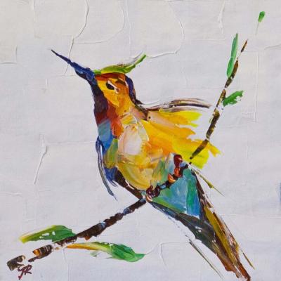 Hummingbirds N1. Rodries Jose