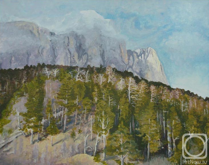 ������� ������ �� ������. ���������� �������. ������� ����