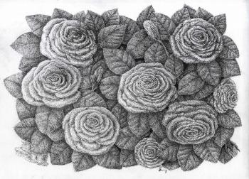 Uncolored Roses
