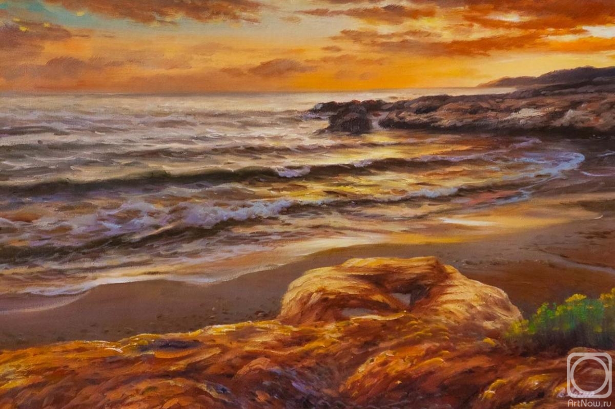 Lagno Daria. Coast and waves. Sunset