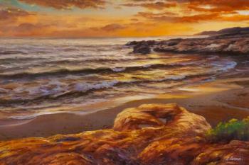 Coast and waves. Sunset. Lagno Daria